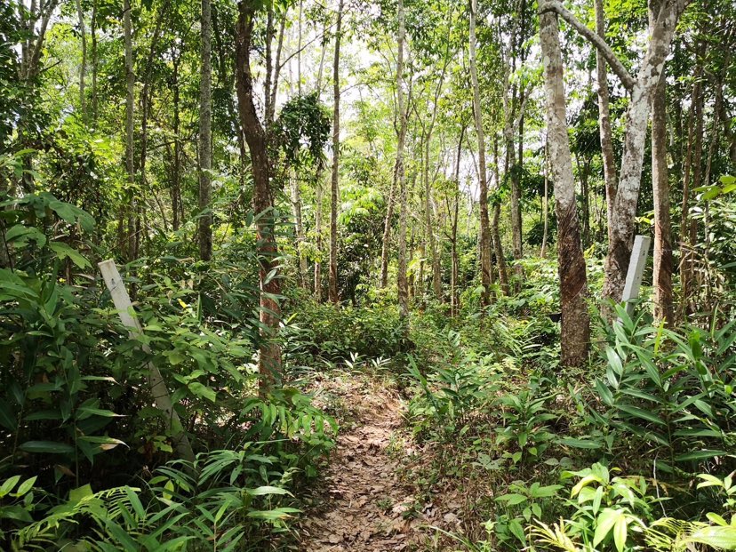 345872347 1196975684349732 8802373976800105629 n