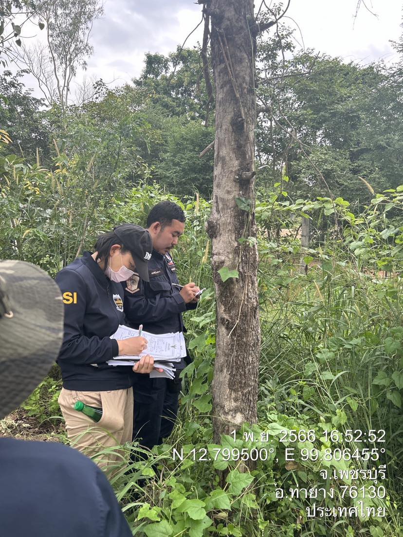 384565694 319873484106215 5823063331428898799 n