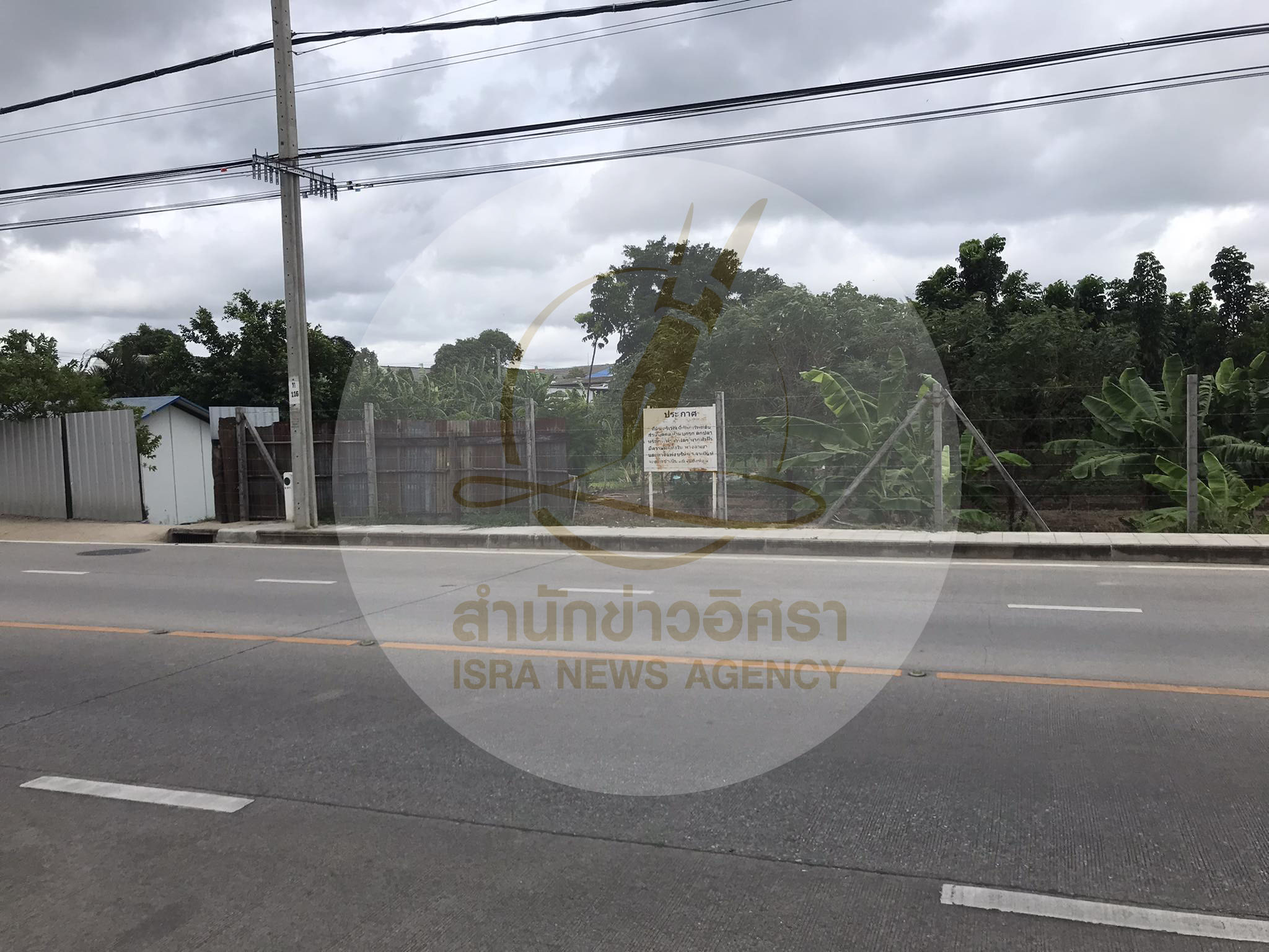 picllllpaayutt0025 8 66