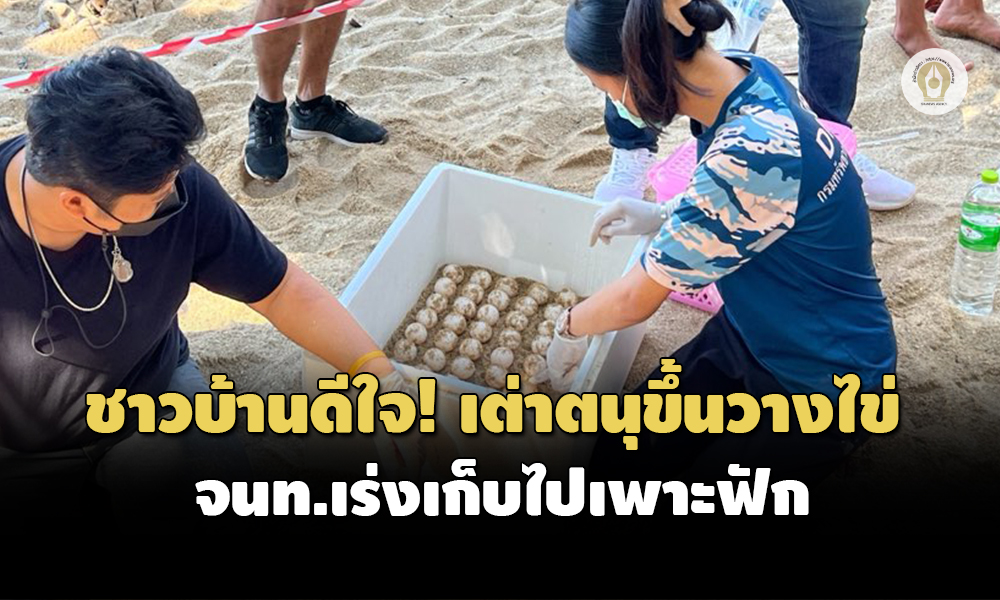 news phuket 2201 main