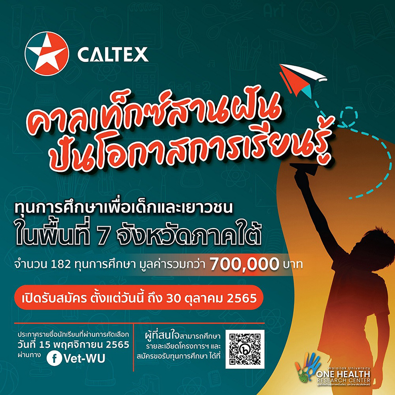 chevron cartex 1010 info