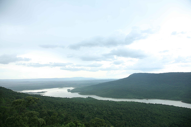 ptt netzero green 1710