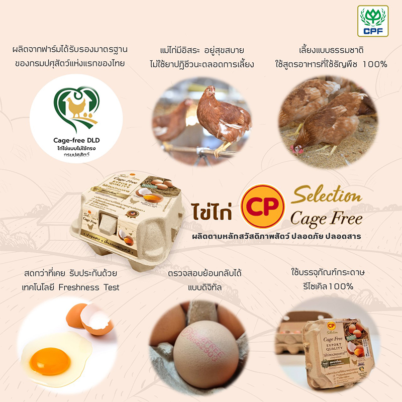 Cage Free Egg