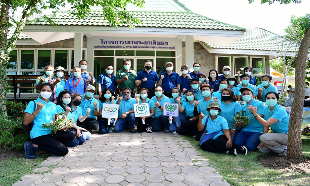 cpf 0504 main t night