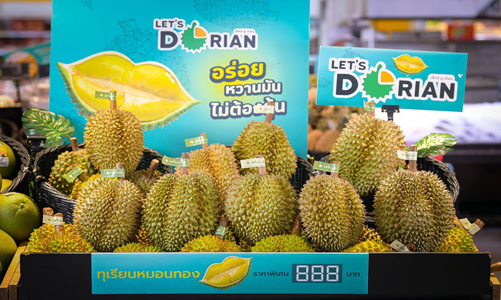 letdorian cp 2104 main