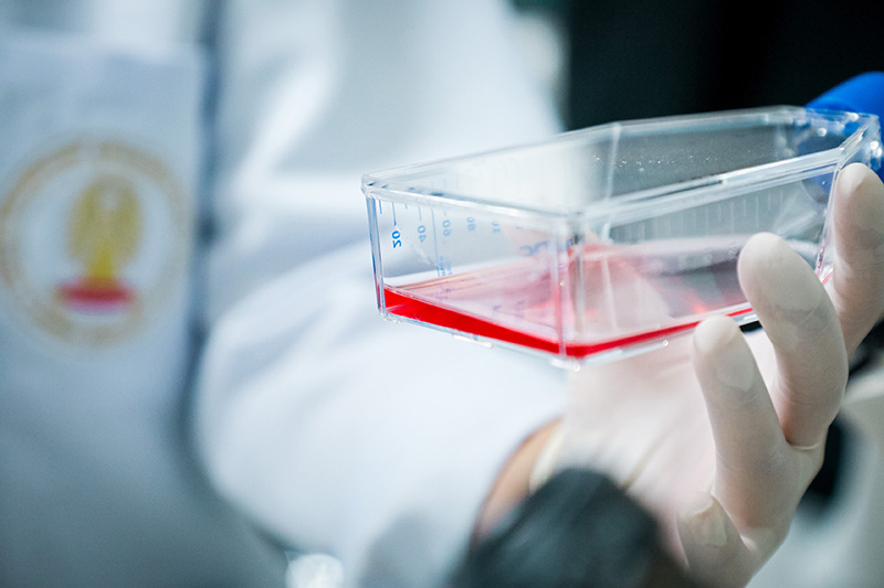 manee d ptt 1207 pic1