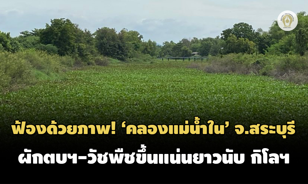 water 0308 main edit t