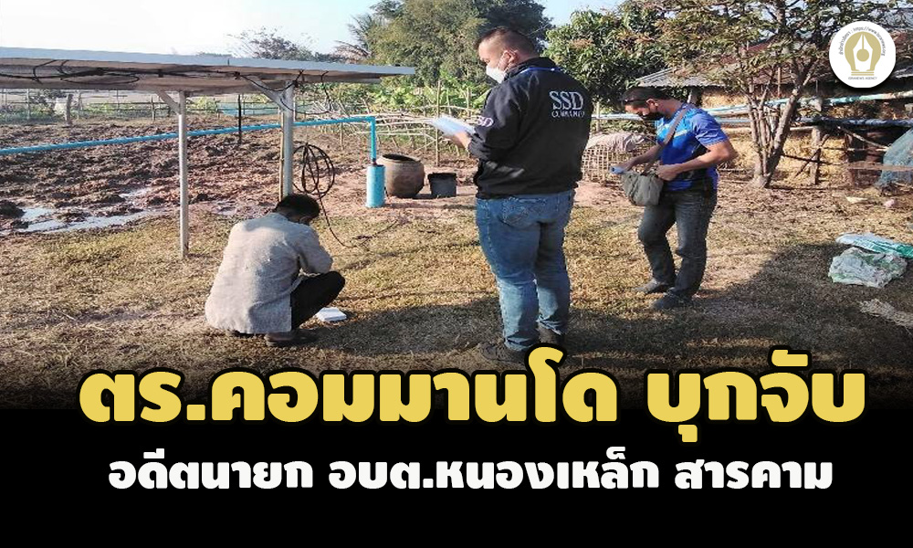 picpoiltgrfssss1 25 65