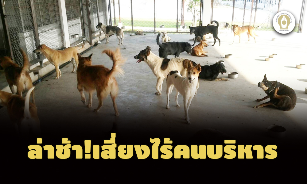 picpoijsdsasawqwqwqwqwqwq10 24 65