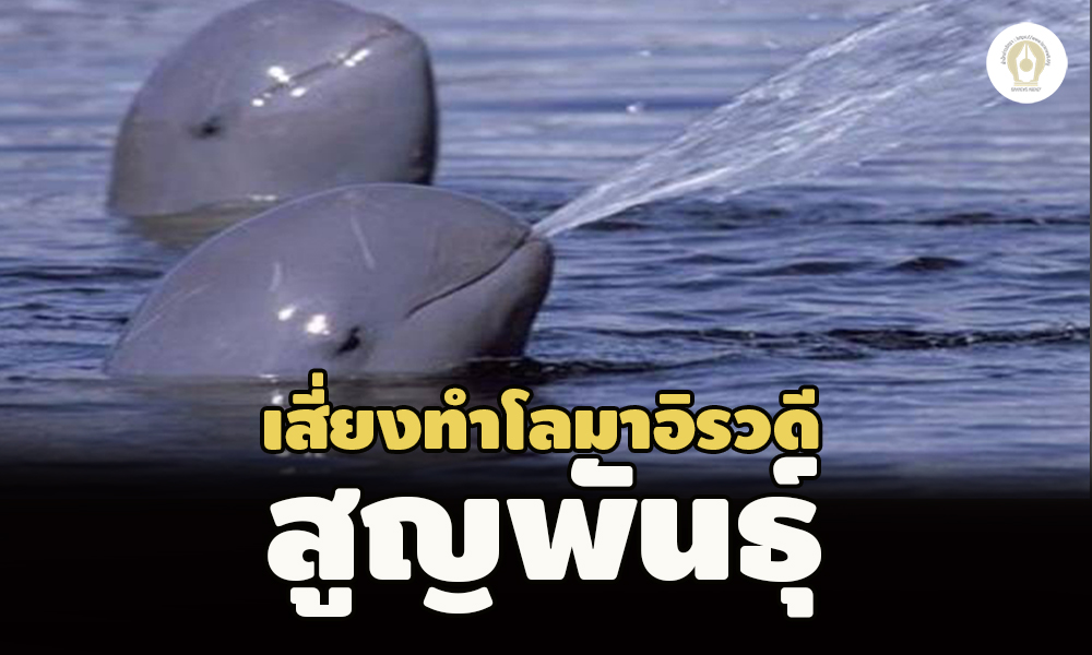 picppclooommmassss27 10 65