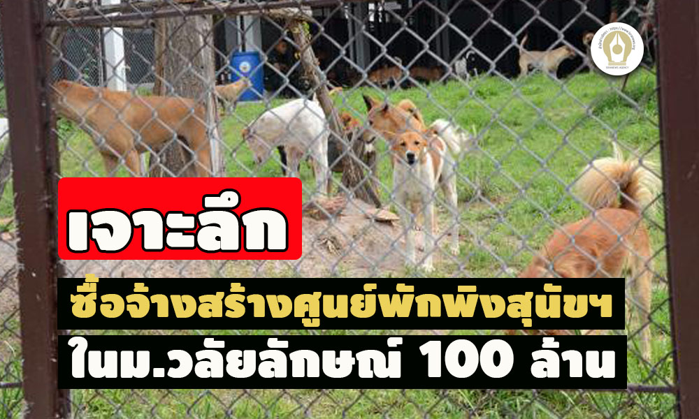 picpppdooogddsdsds11 4 65