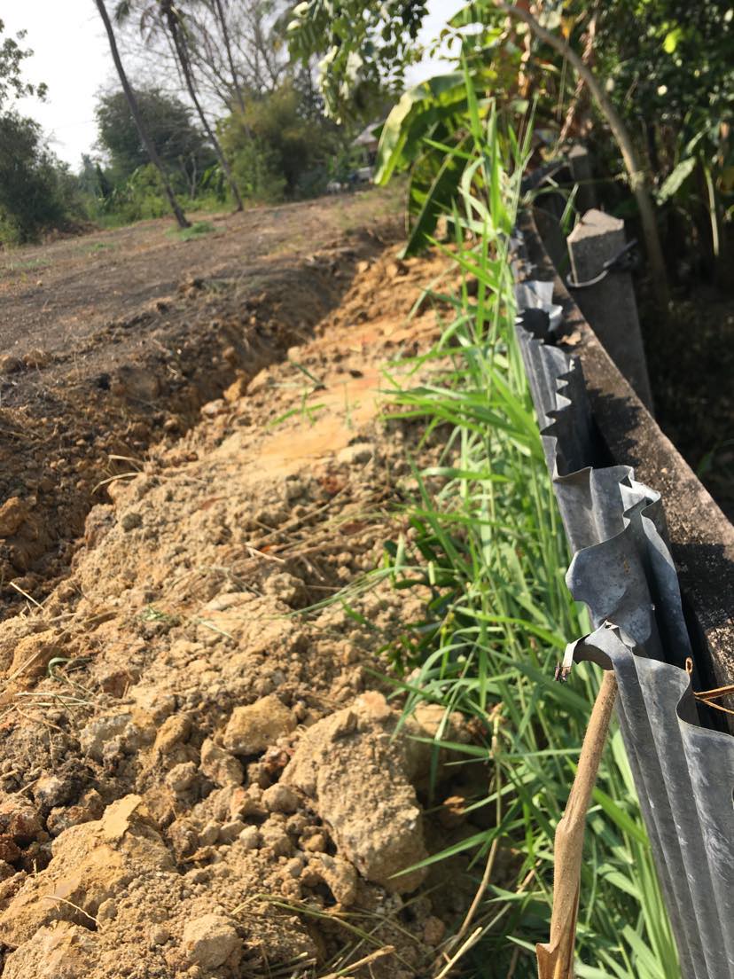 311088980 2725429614259061 4803477443527277869 n