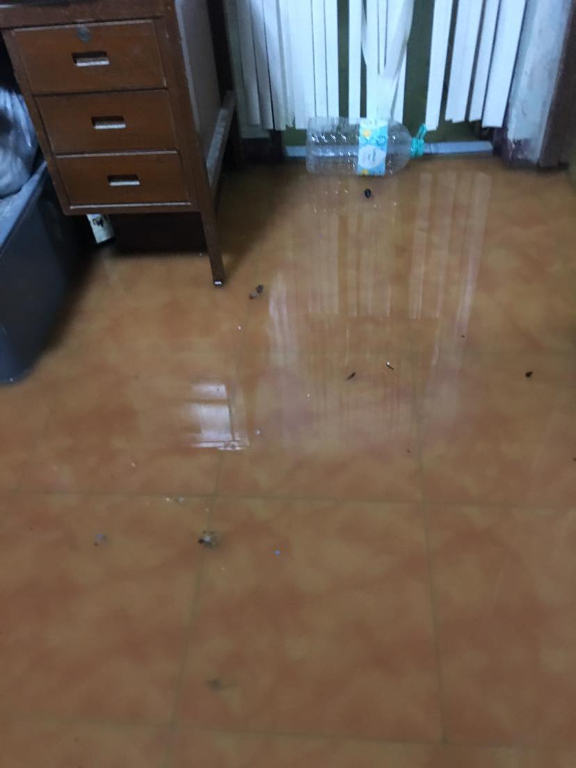 311098557 3385088858438114 4306927480372837890 n