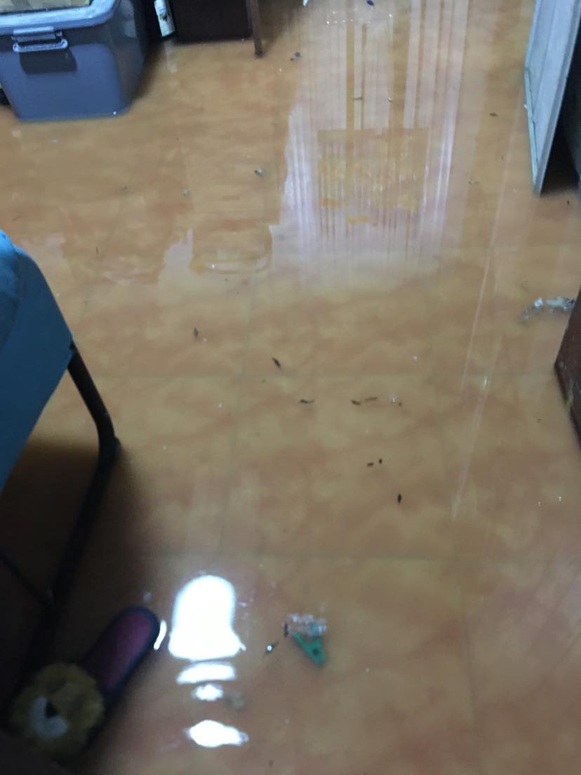 311333593 3368628663460001 6744744327062272706 n