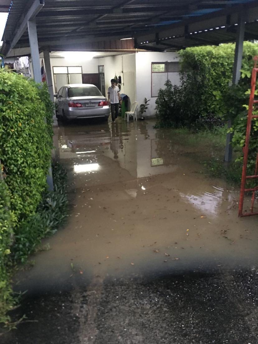 311351035 1740097323013209 4456446368170958535 n