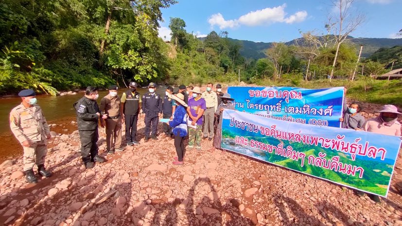 319553650 681853946669556 4392333390268860921 n