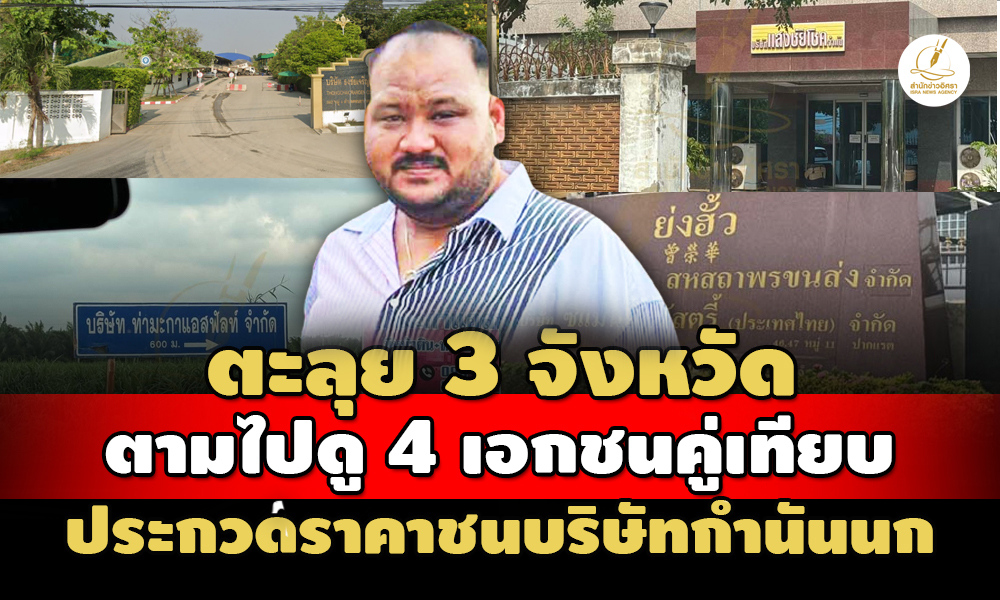 pickkkknooogtgsaasasas13 10 66