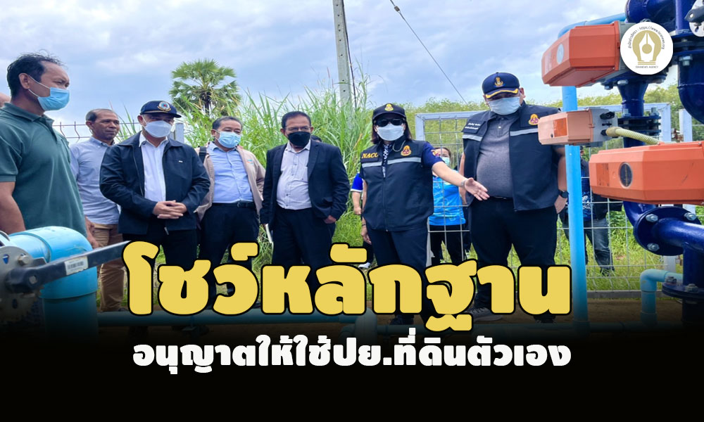 picpppcwatree12 22 65