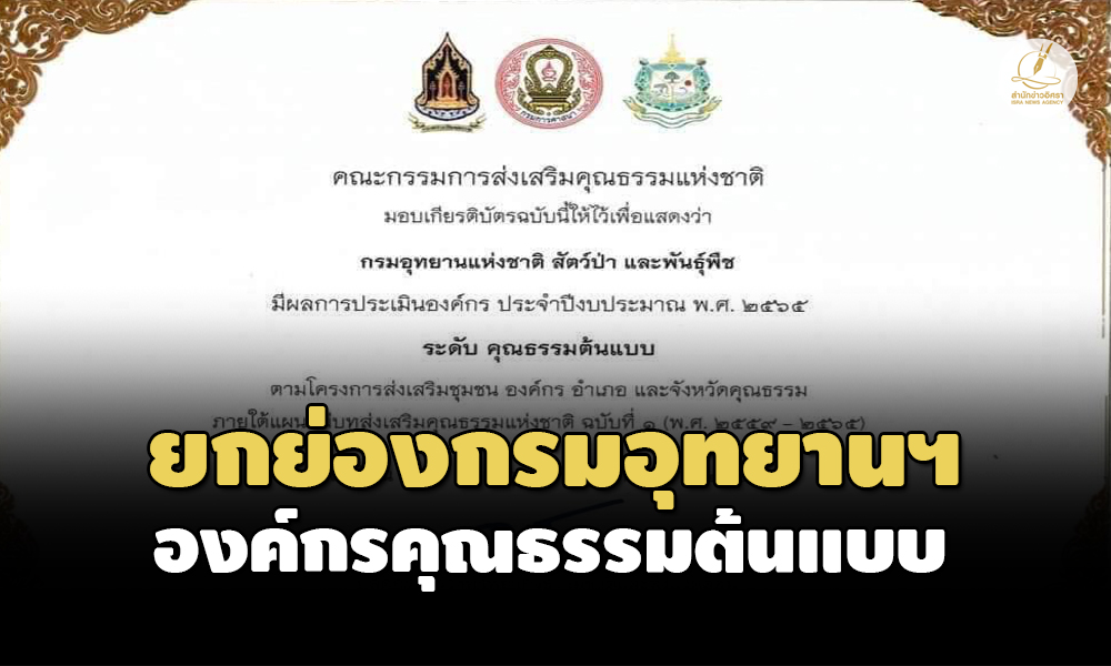 picpppcttonnbaaaa2 21 66