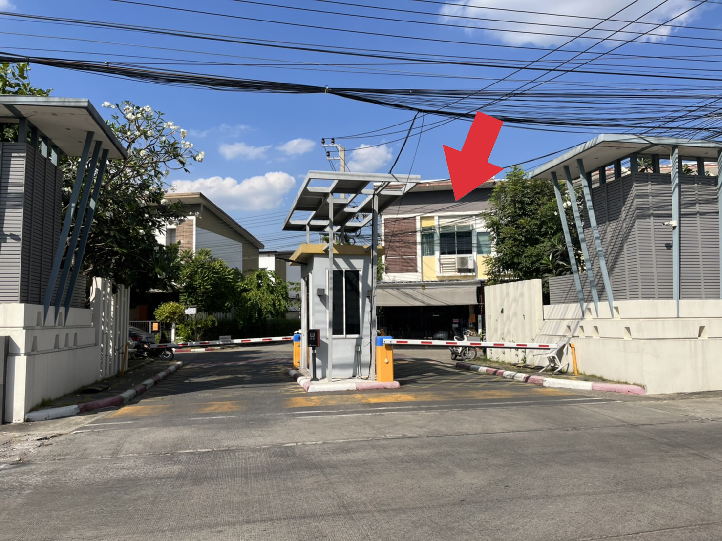 pichommewsassasasasassa1 20 64