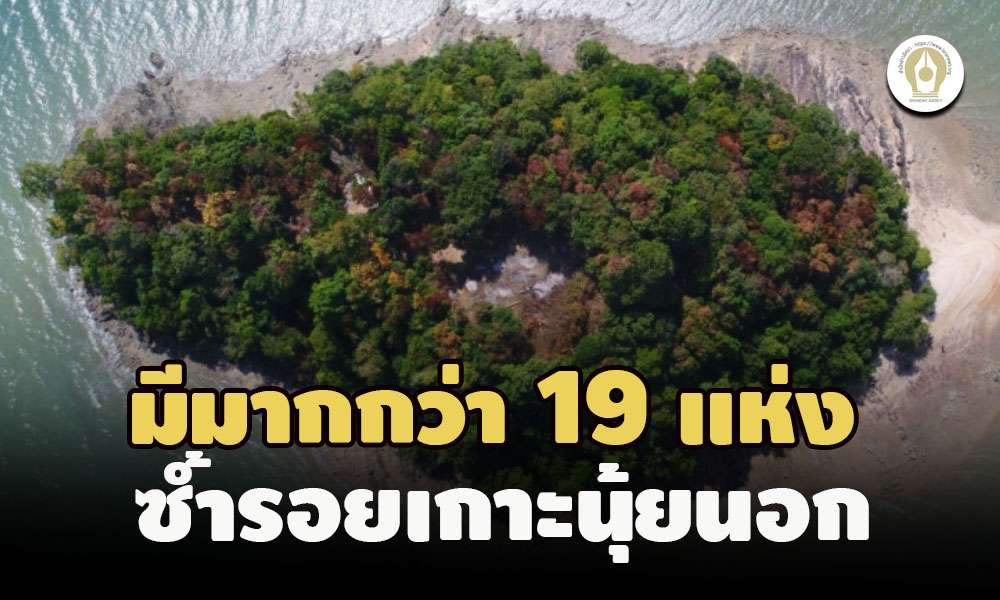 piclanndddsnuttt3 20 65