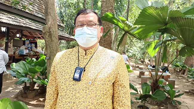 pictreesfffsasaassasas3 2 65