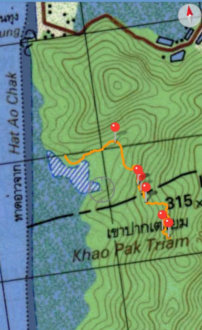 280193311 718466956245181 8407576849114013809 n