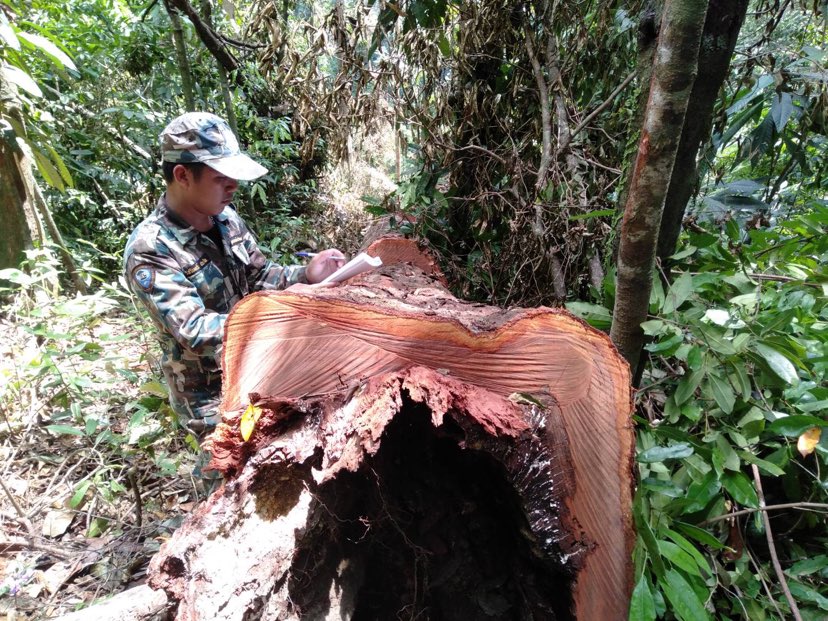 280203287 1210341183070250 4130753094409229428 n