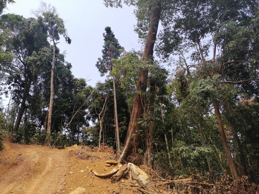 280229103 389427759742608 5847592712321936805 n 1