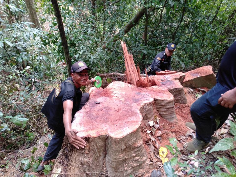 280267570 710453136841078 9194700824358724195 n