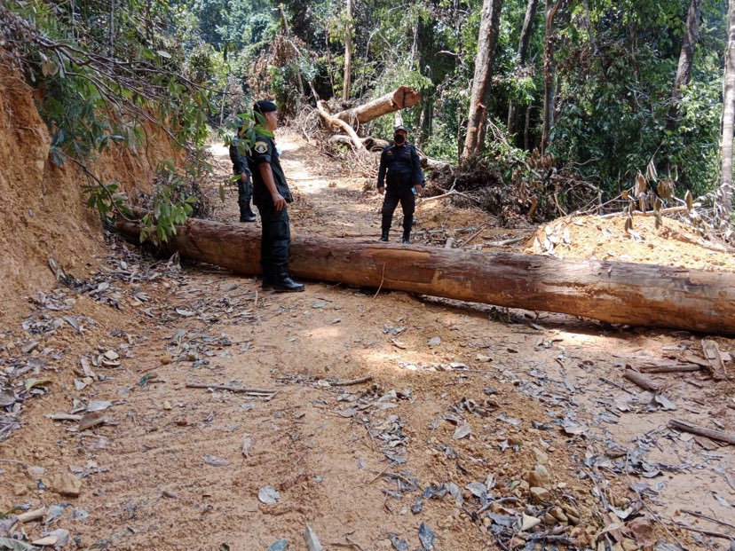 280270991 451897366705730 4880376310495364262 n