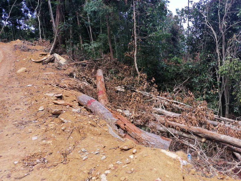 280271110 318765830409227 3891611591038770468 n