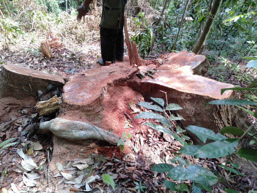 280273278 386898210028632 4846346828896638698 n 1