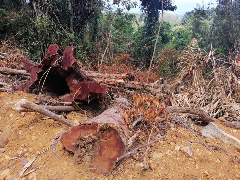 280443428 383473467126887 5041861779562773178 n 1