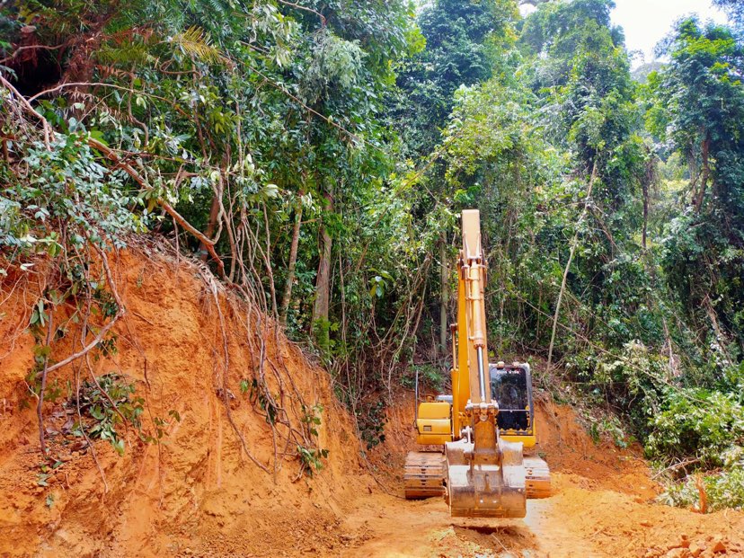 280498332 2714744815336587 1258393234350476994 n