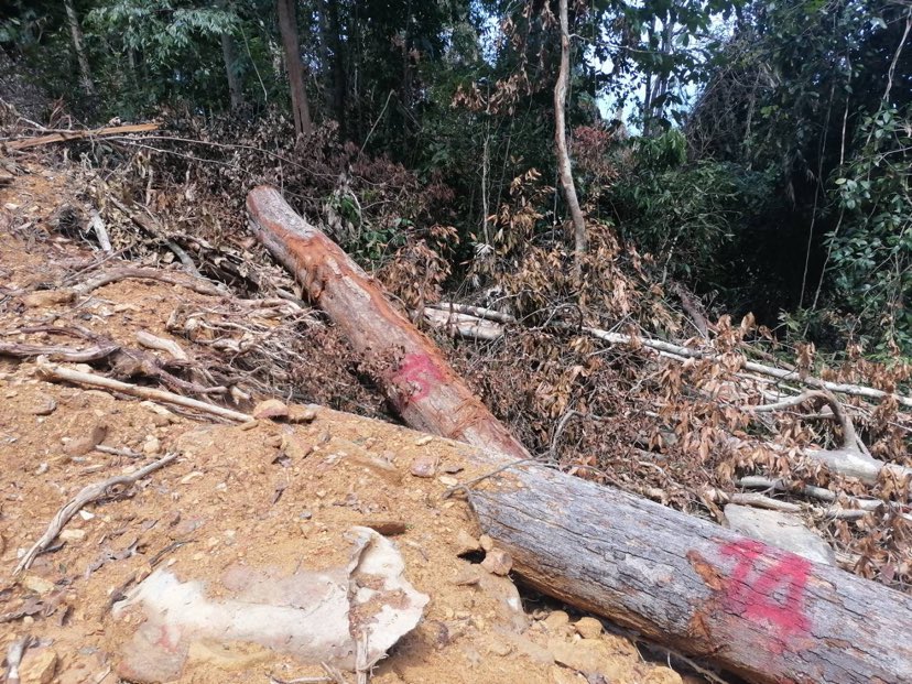 280500814 1389138284940052 6505510045725507653 n