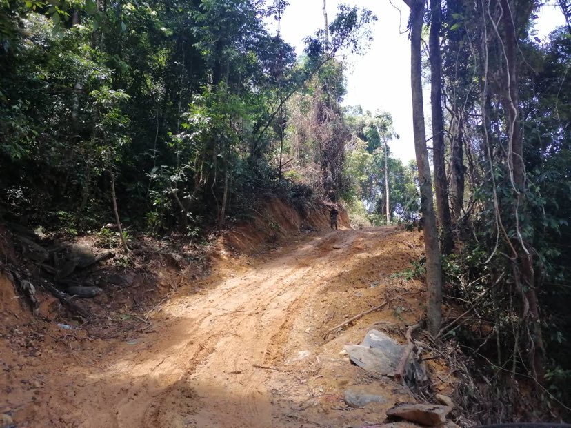 280562852 958453581519063 4195326880801711775 n