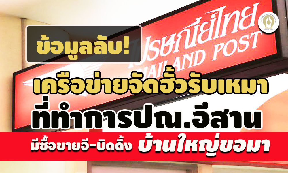 picpiisanewweweweweweee3 23 65