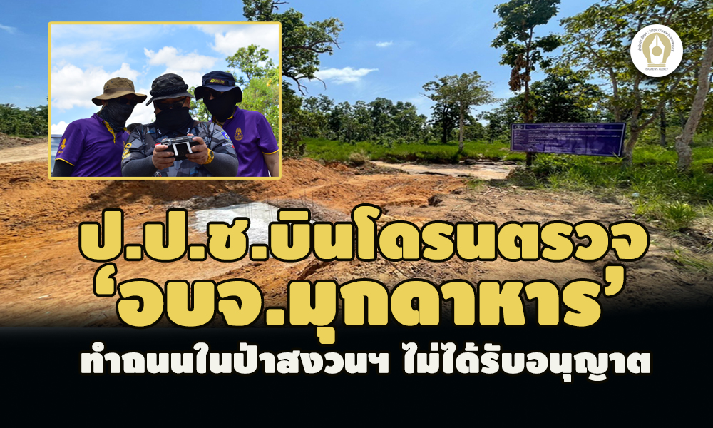 picppcaiiredssaassasa7 1 65