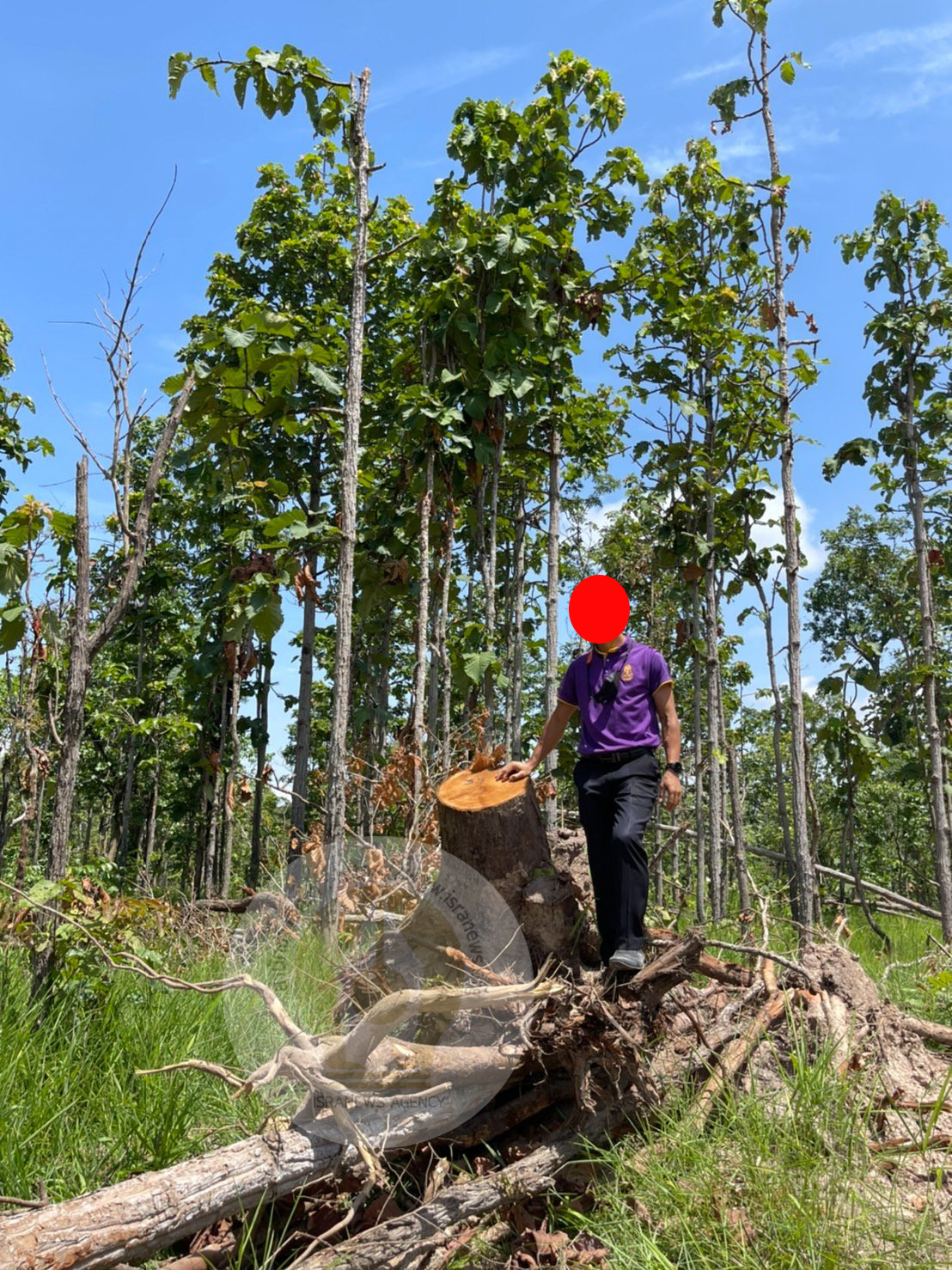 pictreeeewweewkill007 1 65