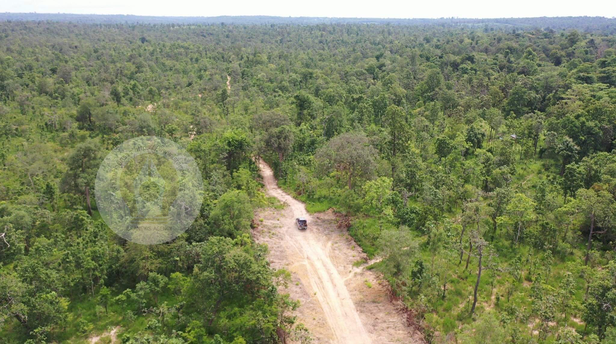 pictreeeewweewkill027 1 65