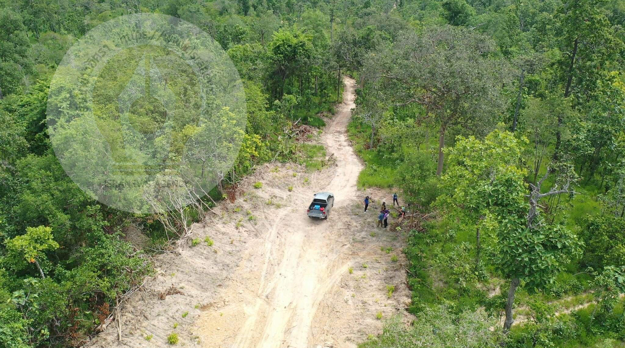 pictreeeewweewkill037 1 65