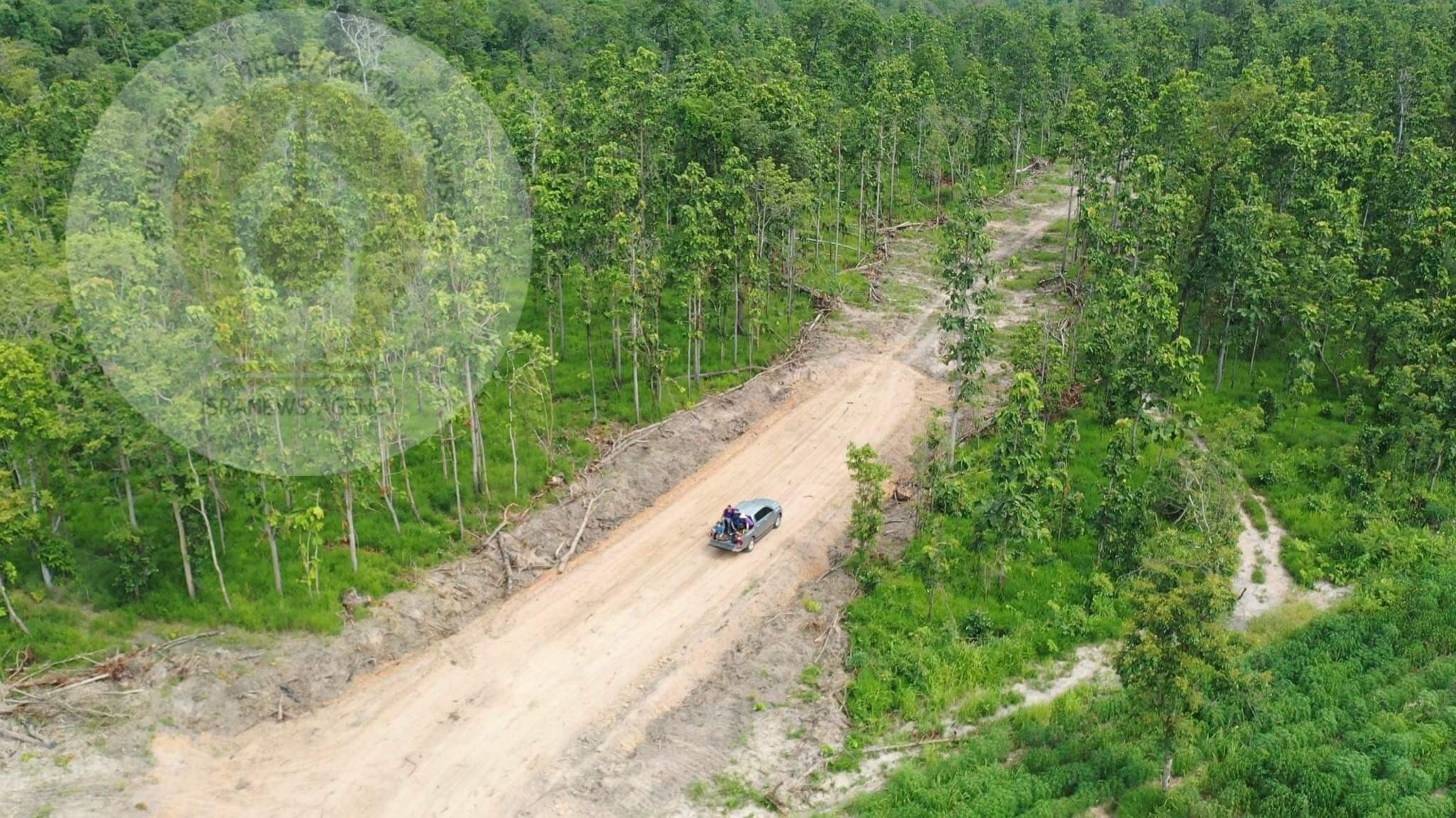 pictreeeewweewkill047 1 65