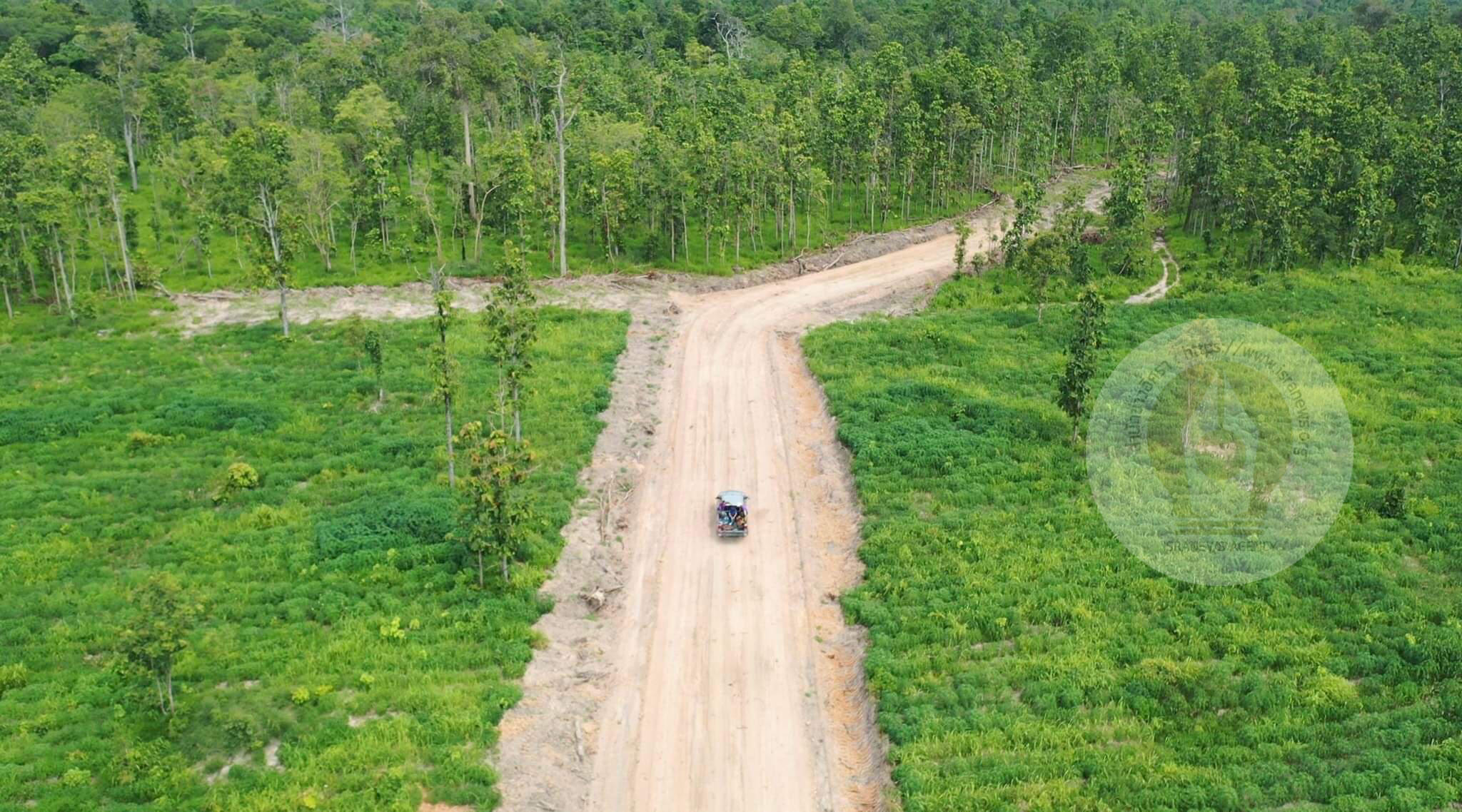 pictreeeewweewkill067 1 65