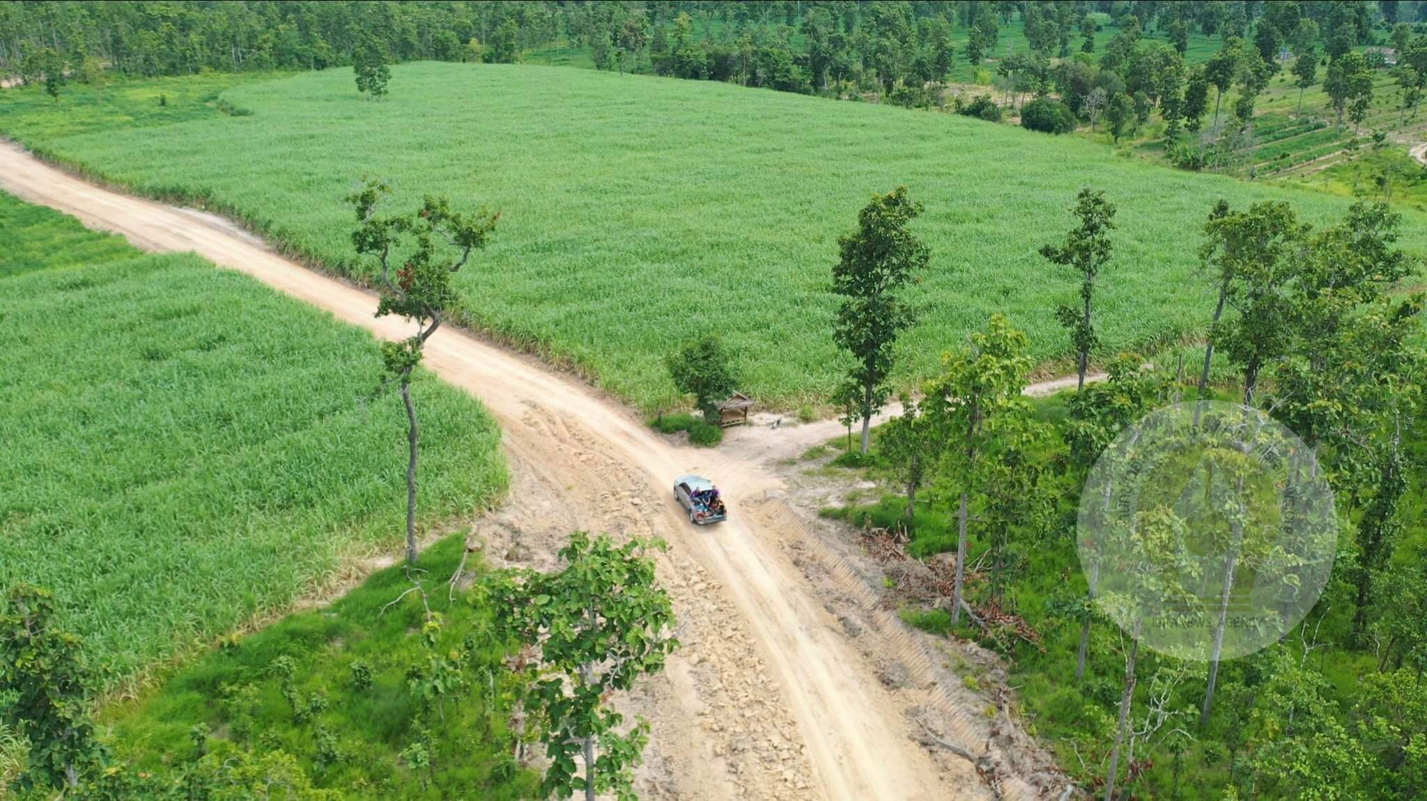 pictreeeewweewkill077 1 65