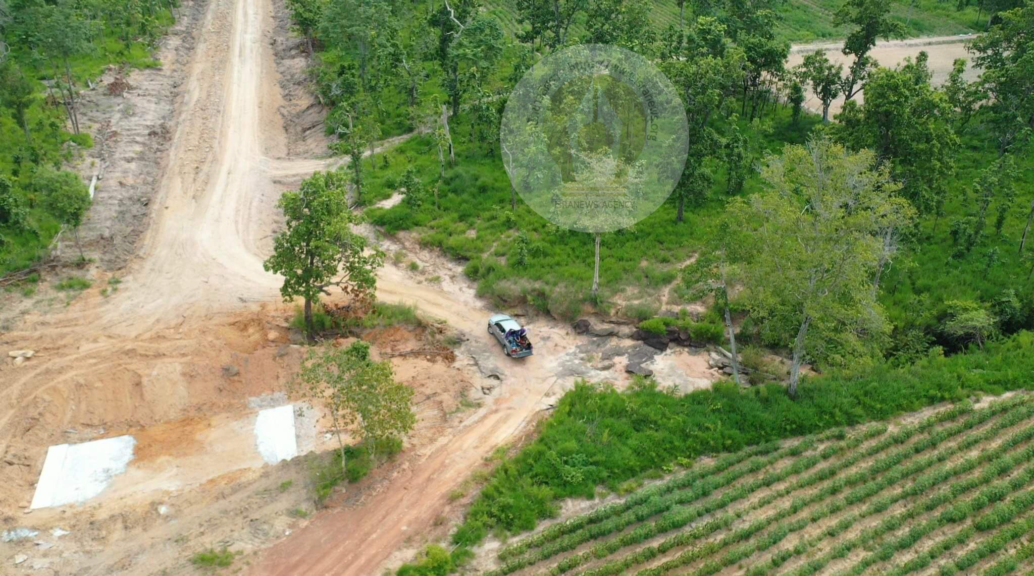 pictreeeewweewkill097 1 65