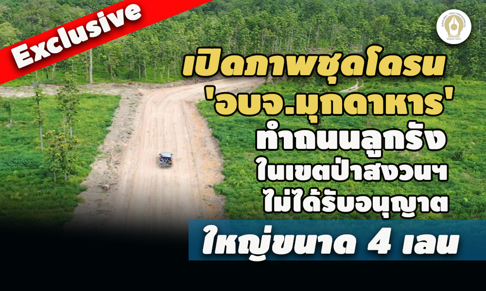 pictreeeewweewkxxxxill037 1 65