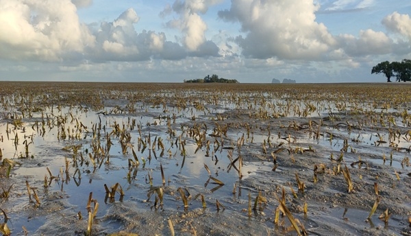 LINE ALBUM สำรวจแนวแม่น้ำตรัง 220501 0