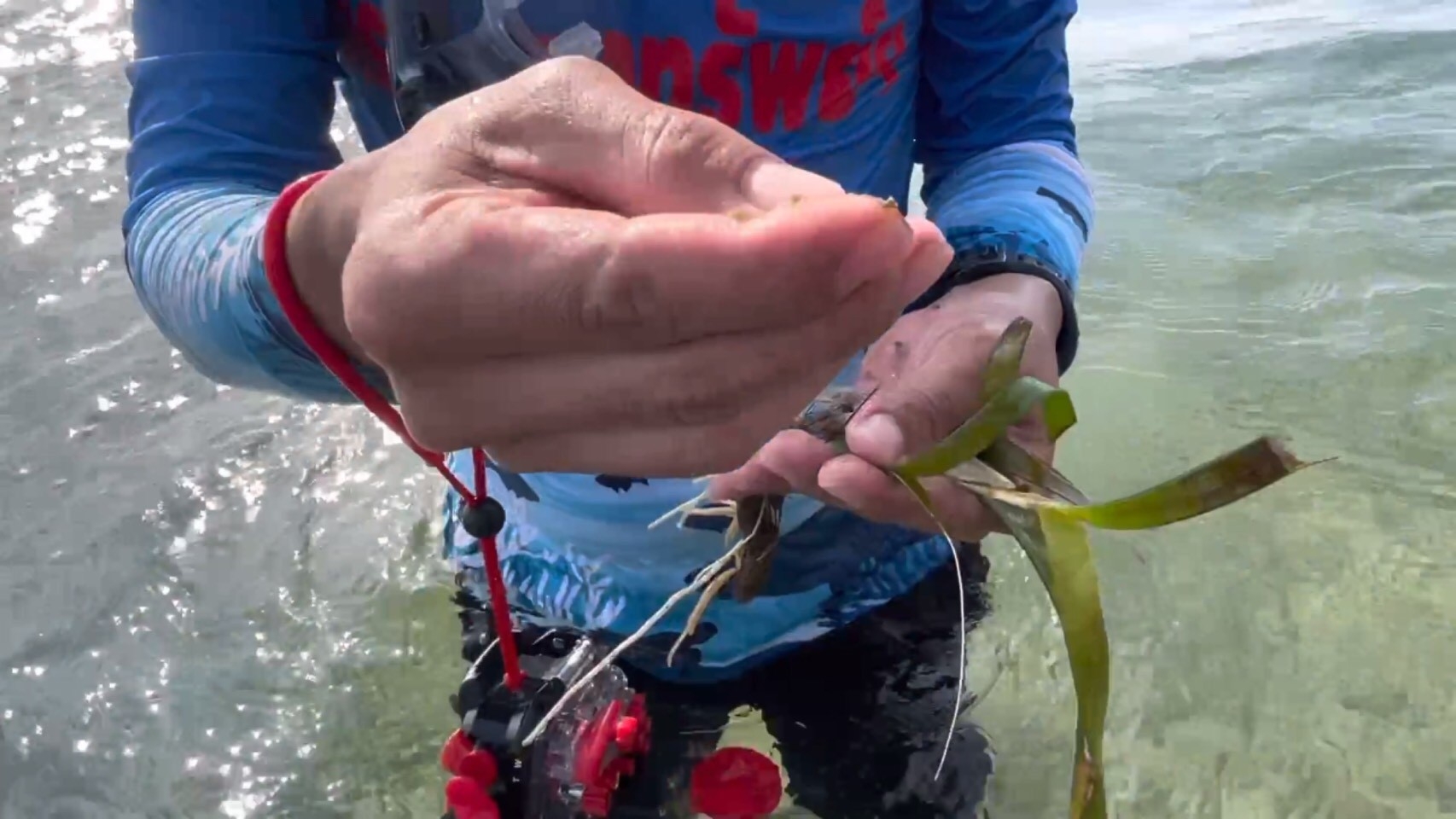 LINE ALBUM สำรวจแนวแม่น้ำตรัง 220501 1