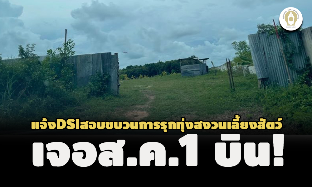 picpppckkkgggadsiisaasas9 1 65